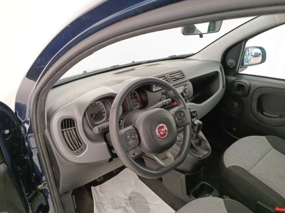 Fiat Panda usata a Treviso (10)