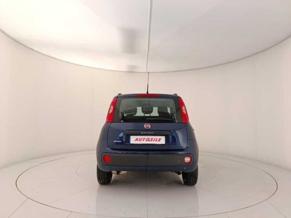 Fiat Panda usata a Treviso (5)