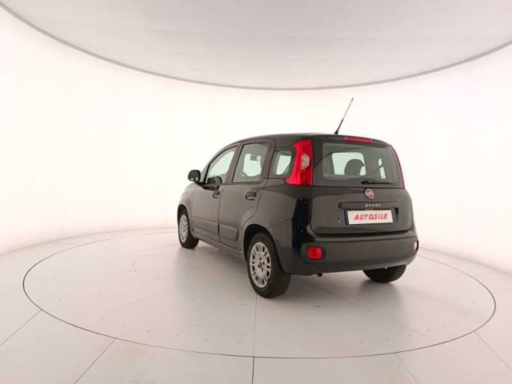 Fiat Panda usata a Treviso (4)