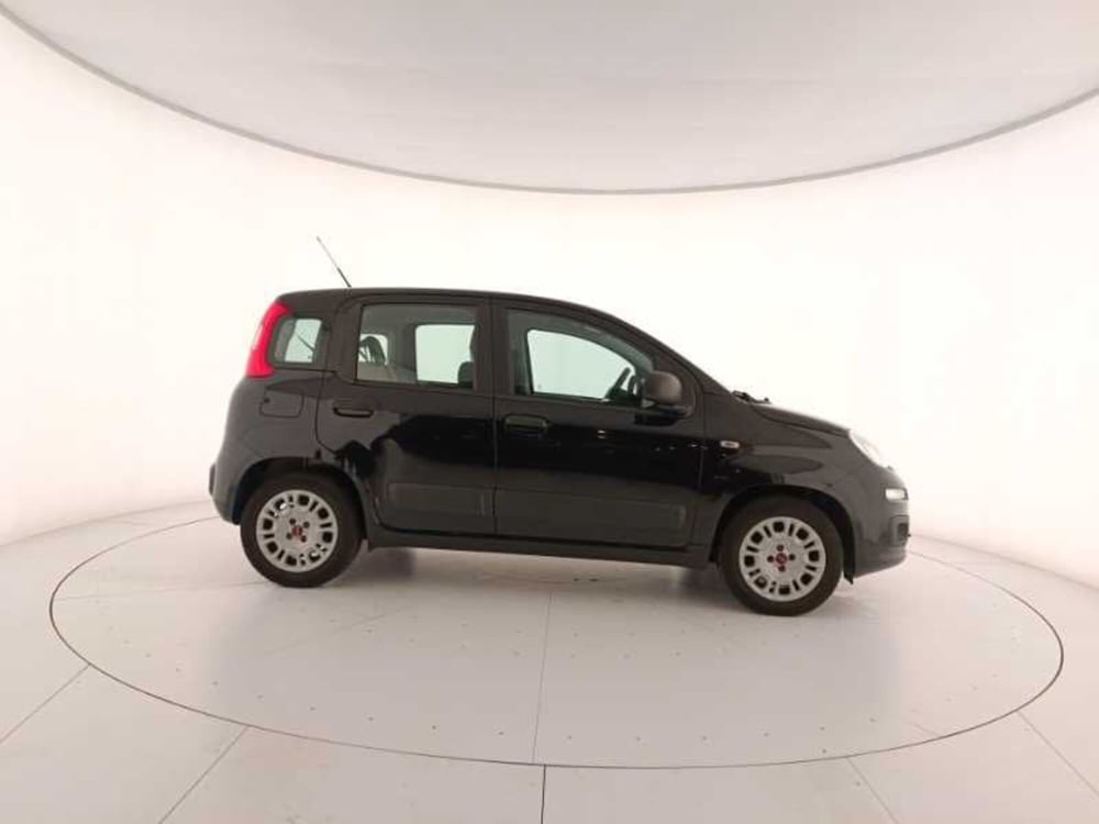 Fiat Panda usata a Treviso (7)