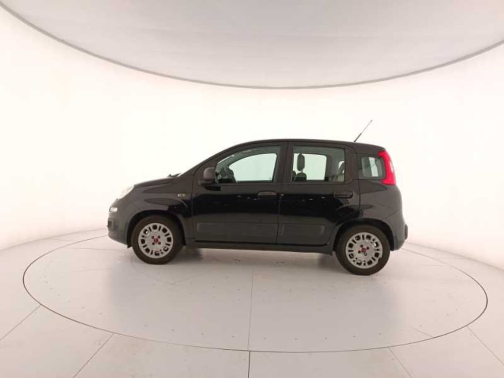 Fiat Panda usata a Treviso (8)