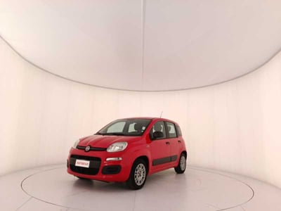 Fiat Panda 1.2 Pop  del 2017 usata a Treviso