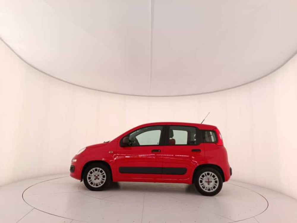 Fiat Panda usata a Treviso (8)