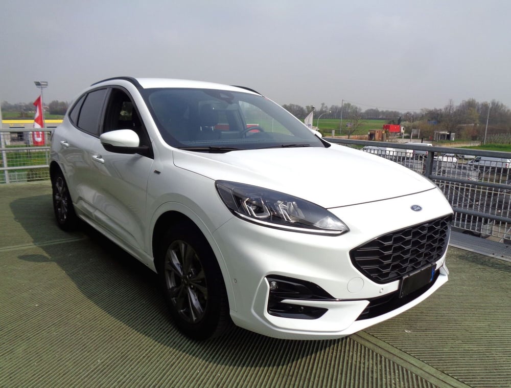 Ford Kuga usata a Treviso (4)