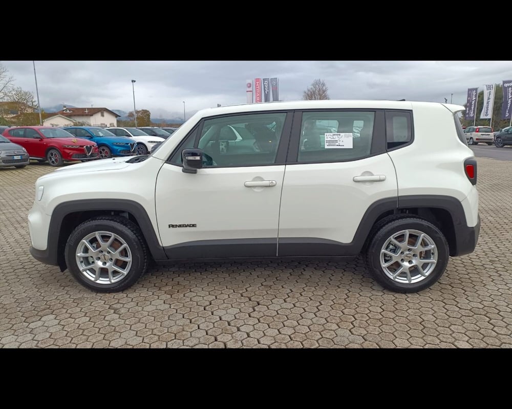 Jeep Renegade usata a Lucca (6)