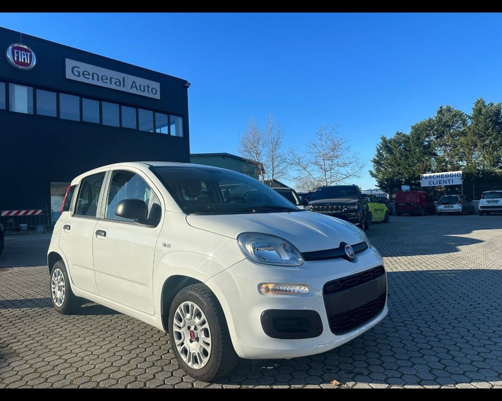 Fiat Panda usata a Lucca