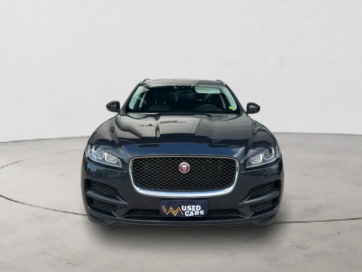 Jaguar F-Pace usata a Arezzo (8)