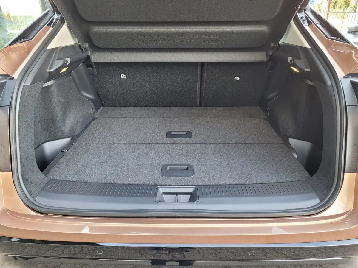 Nissan Ariya usata a Biella (7)