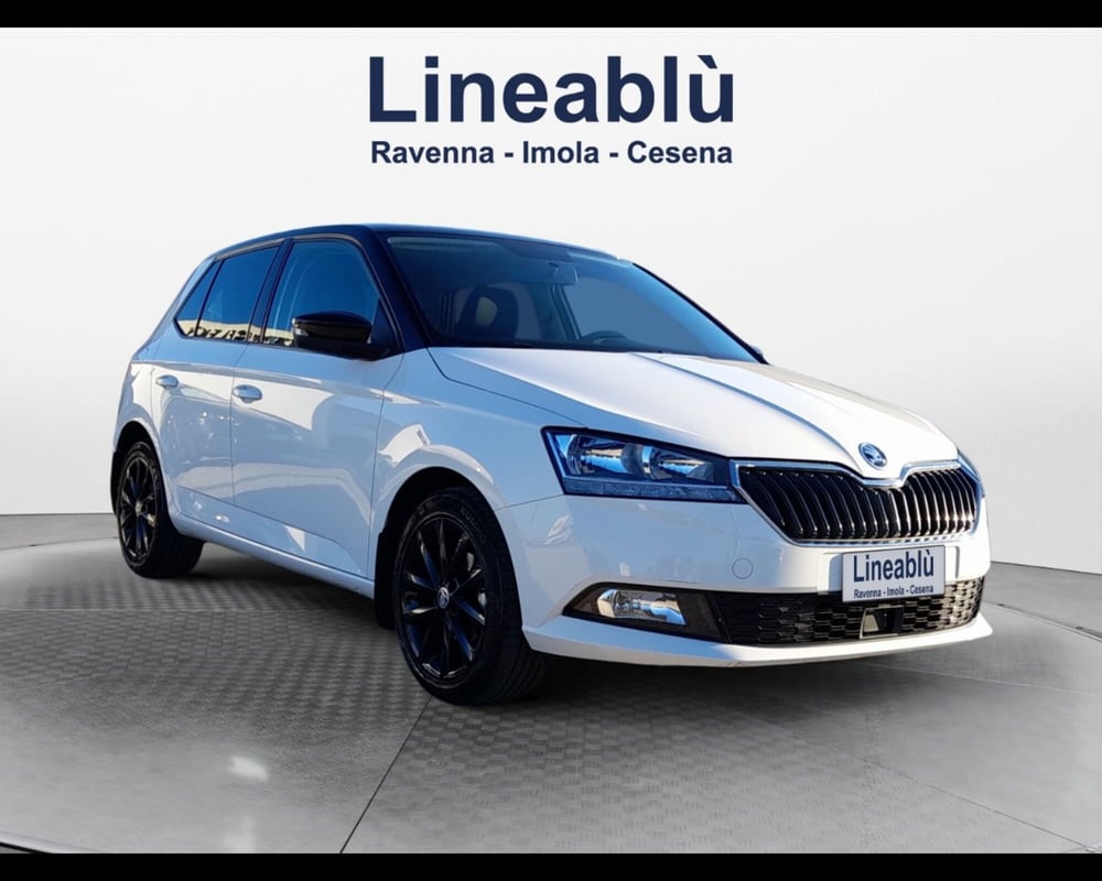 Skoda Fabia usata a Ravenna (7)