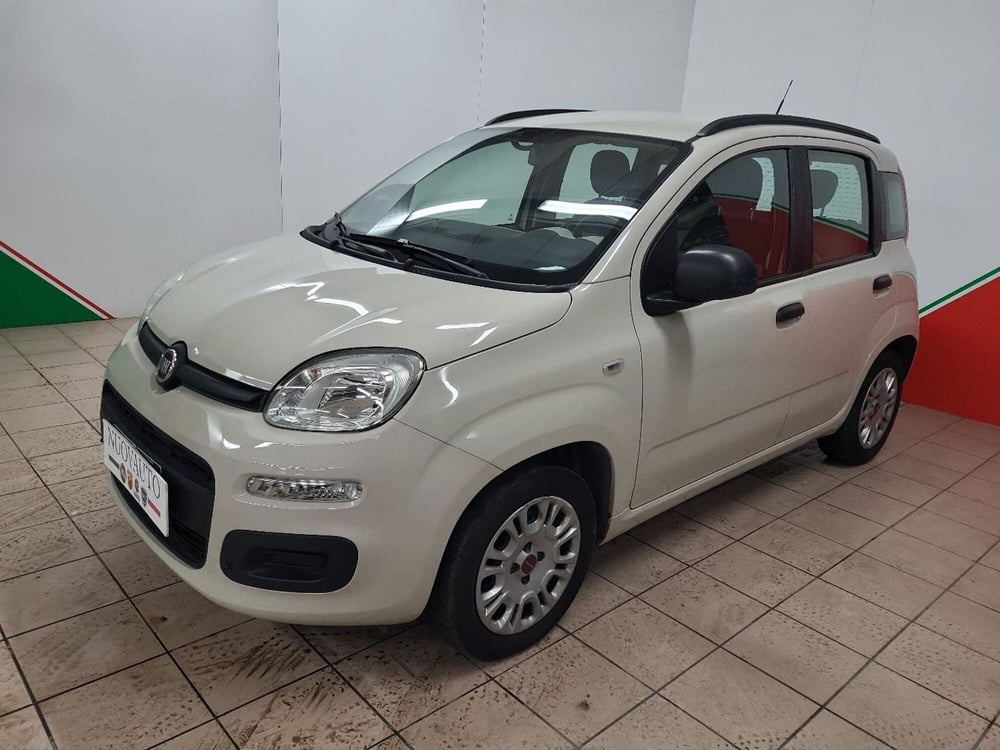 Fiat Panda usata a Arezzo