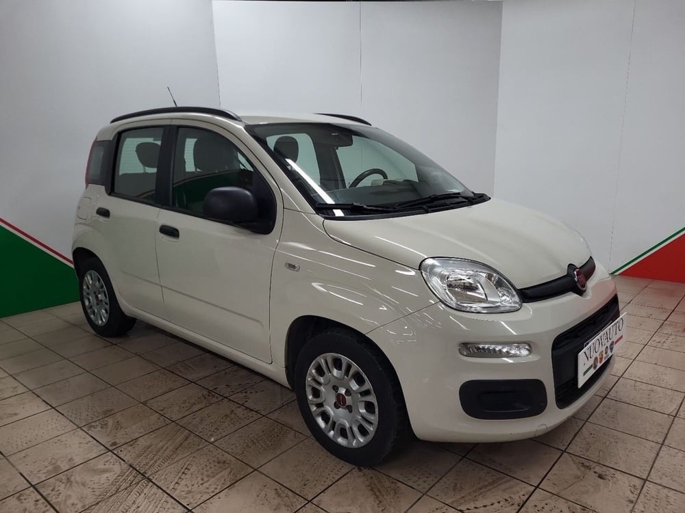 Fiat Panda usata a Arezzo (2)