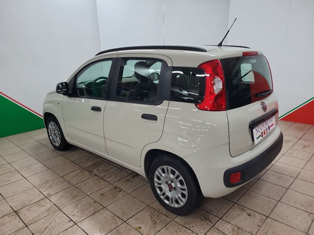 Fiat Panda usata a Arezzo (4)