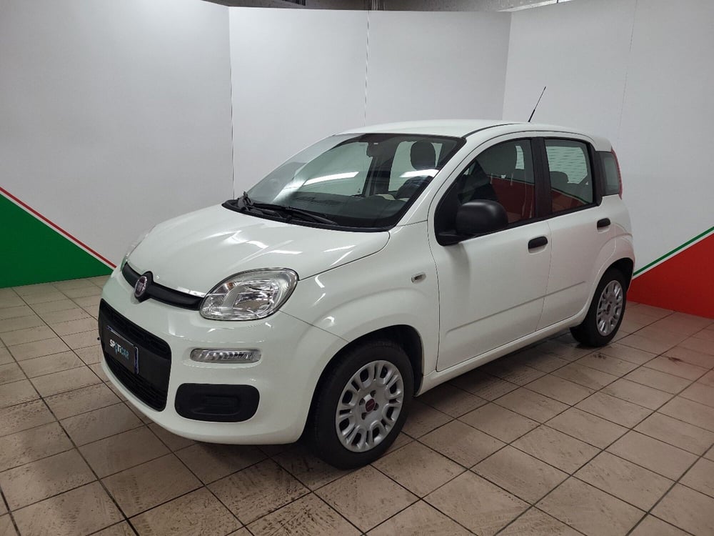 Fiat Panda usata a Arezzo