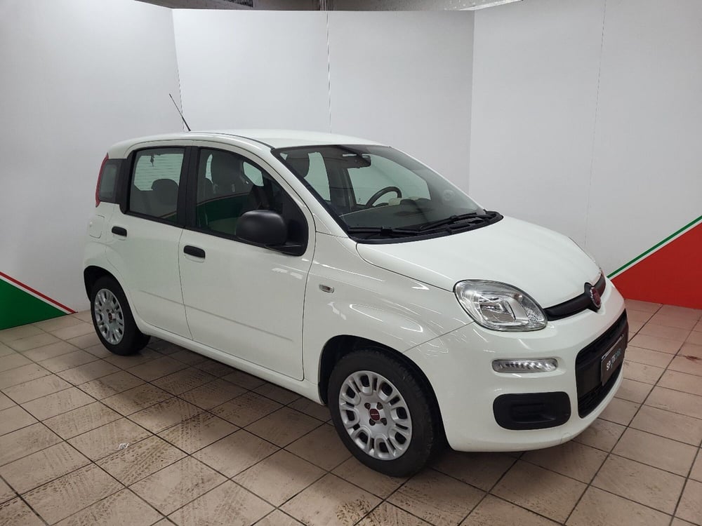 Fiat Panda usata a Arezzo (2)