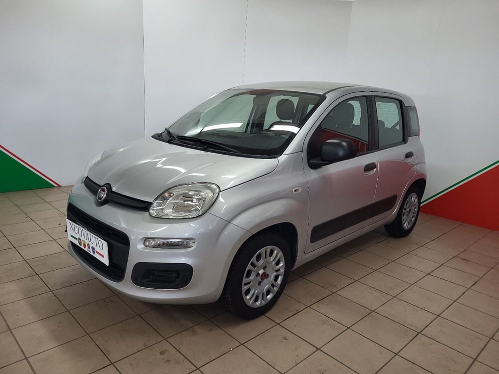 Fiat Panda usata a Arezzo