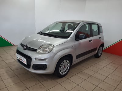 Fiat Panda 1.2 EasyPower Easy  del 2015 usata a Terranuova Bracciolini