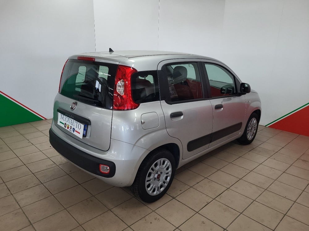 Fiat Panda usata a Arezzo (3)