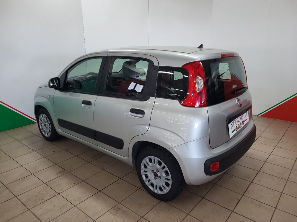 Fiat Panda usata a Arezzo (4)