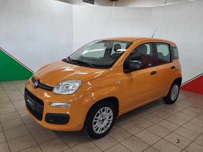 Fiat Panda 1.2 Lounge  del 2018 usata a Terranuova Bracciolini