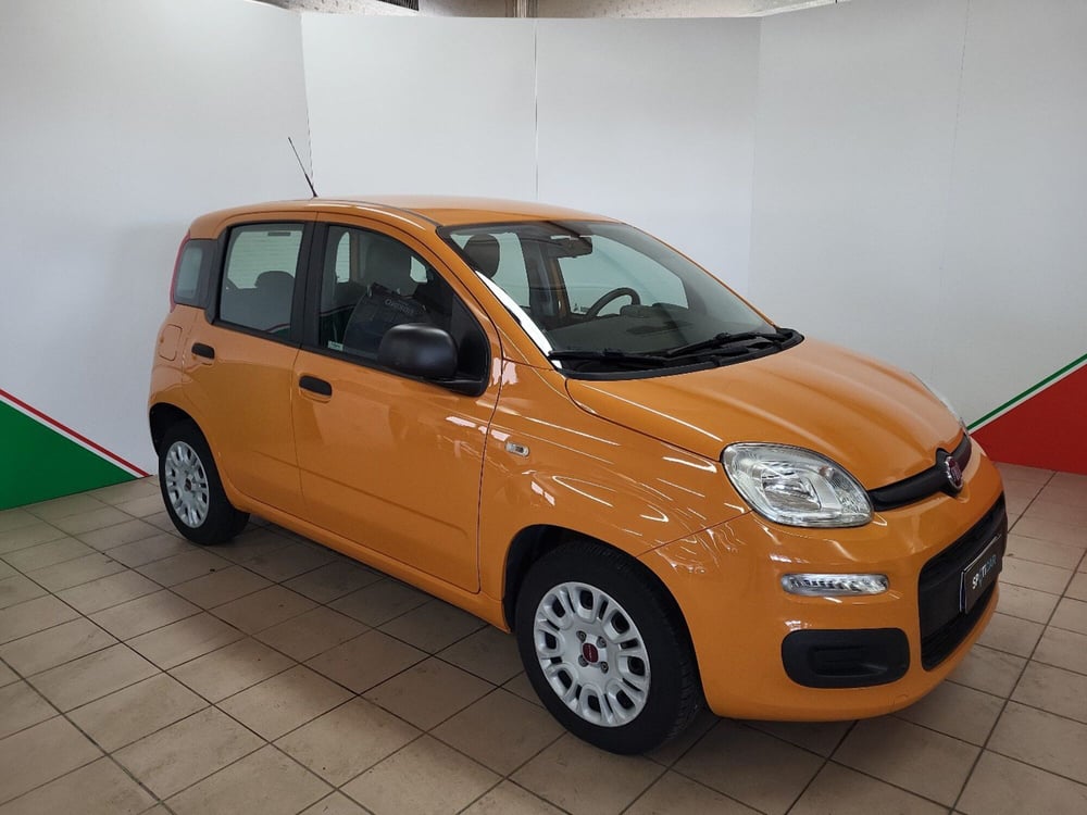 Fiat Panda usata a Arezzo (19)