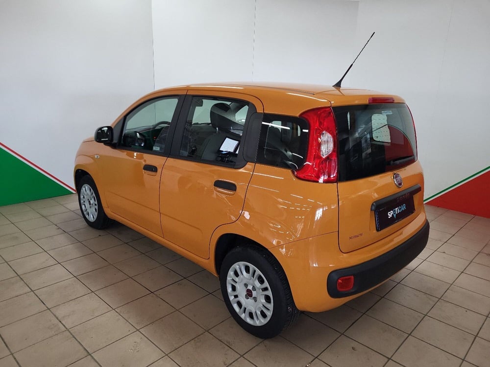 Fiat Panda usata a Arezzo (5)