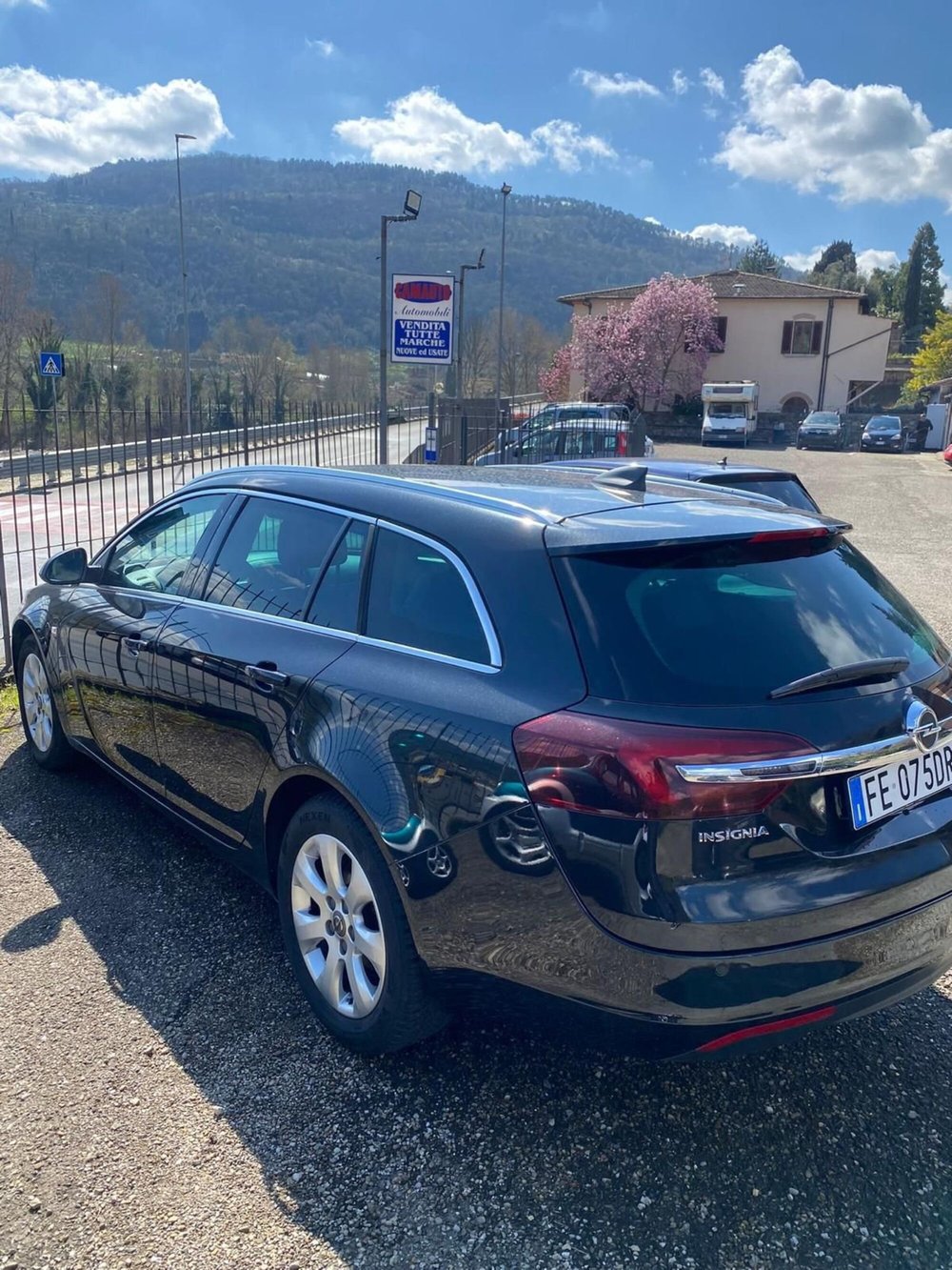 Opel Insignia Station Wagon usata a Firenze (3)