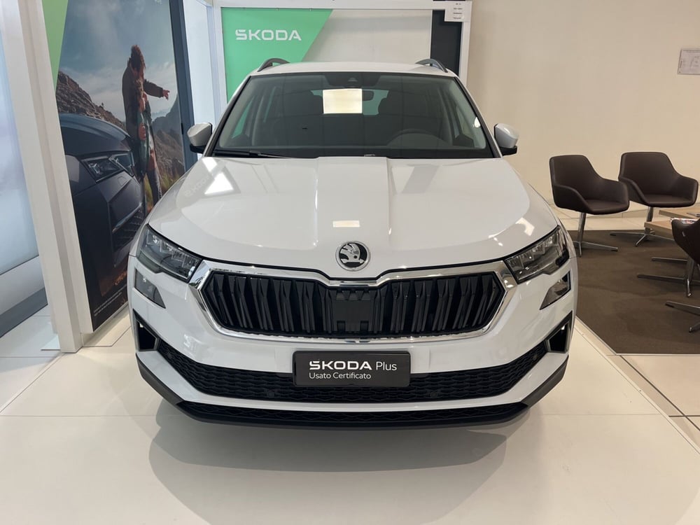 Skoda Karoq usata a Modena (2)