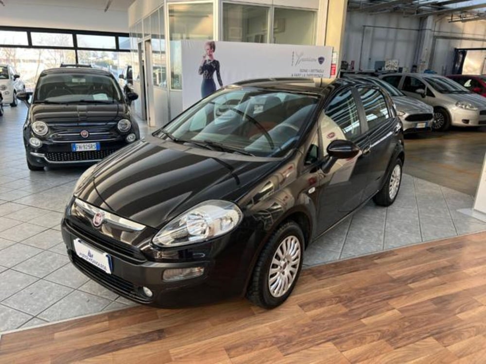 Fiat Punto Evo usata a Modena (3)