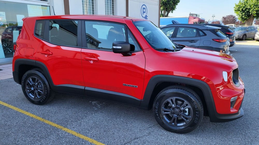 Jeep Renegade usata a Padova (2)