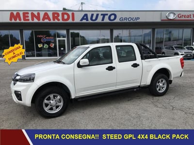 Great Wall Steed Pick-up Steed Passo Lungo DC 2.4 Work Gpl 4wd nuova a Bernezzo