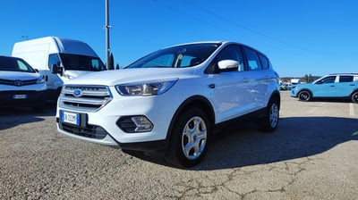 Ford Kuga 1.5 EcoBoost 120 CV S&amp;S 2WD Business  del 2019 usata a Empoli