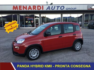 Fiat Panda 1.0 FireFly S&amp;S Hybrid  nuova a Bernezzo