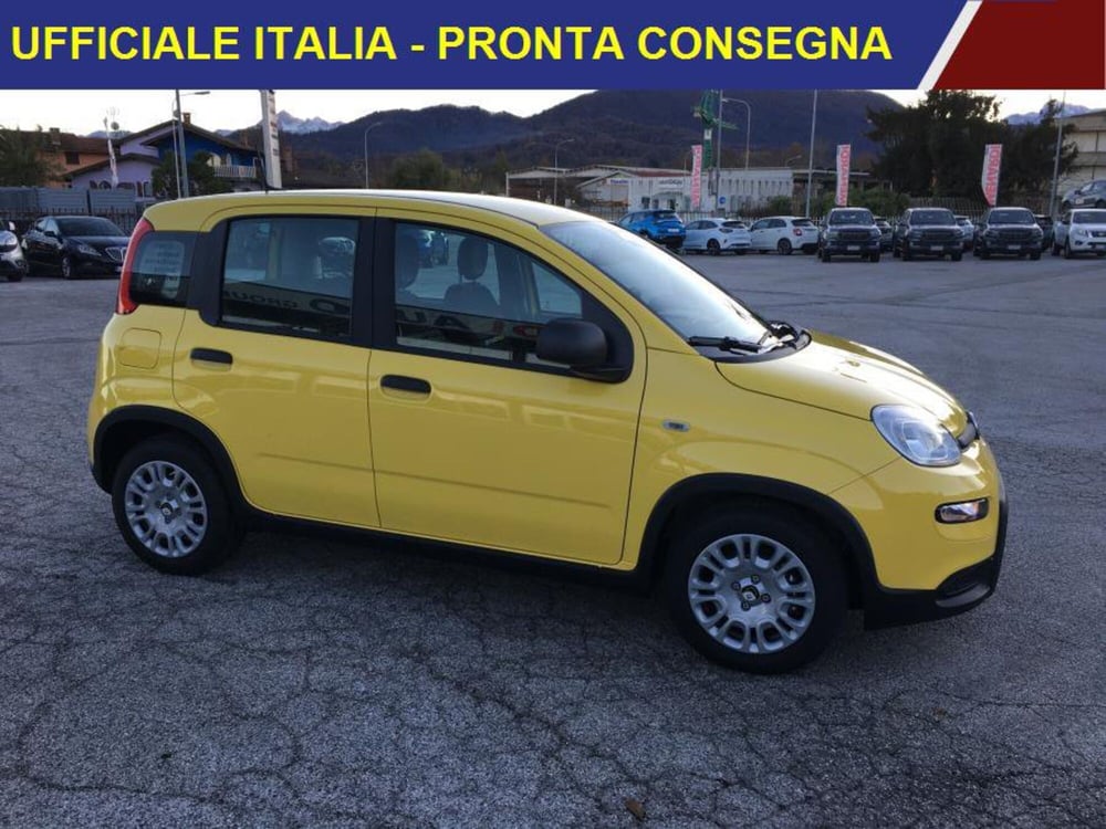 Fiat Panda nuova a Cuneo (2)