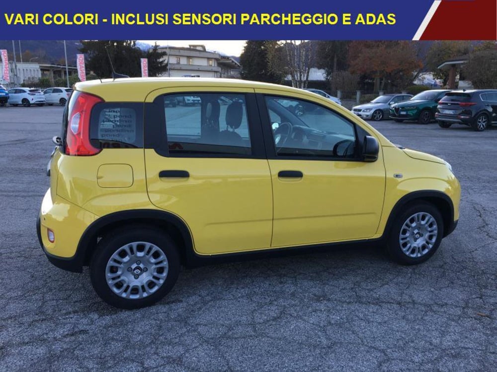 Fiat Panda nuova a Cuneo (3)