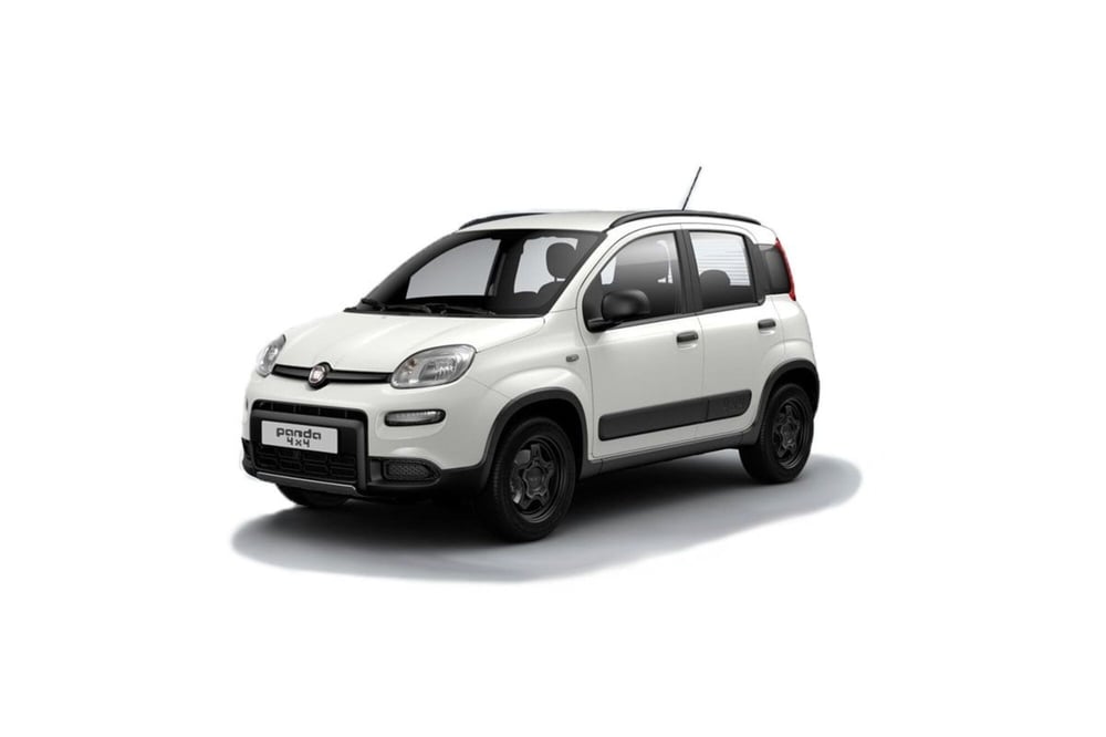 Fiat Panda usata a Frosinone