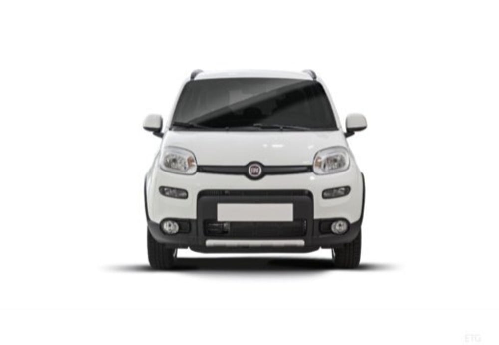 Fiat Panda usata a Frosinone (7)