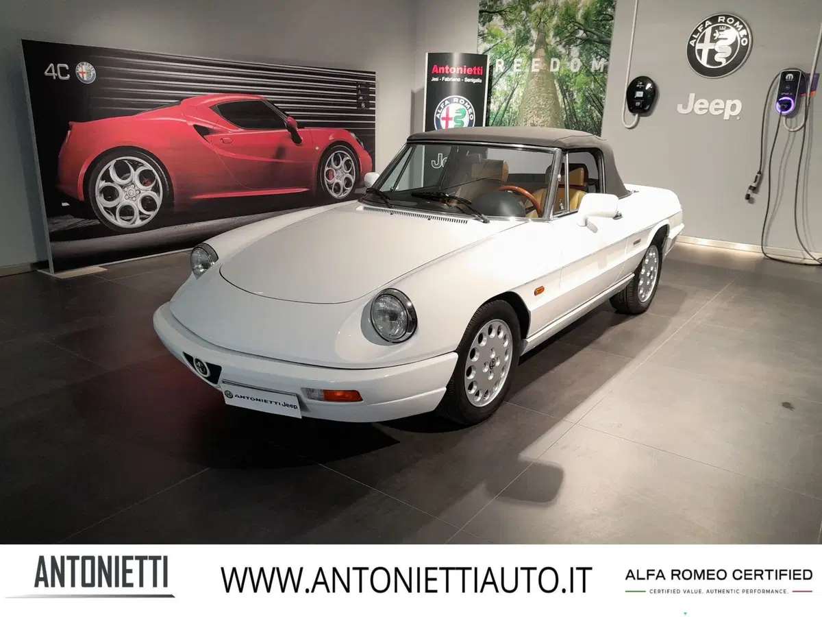 Alfa Romeo Spider usata a Ancona