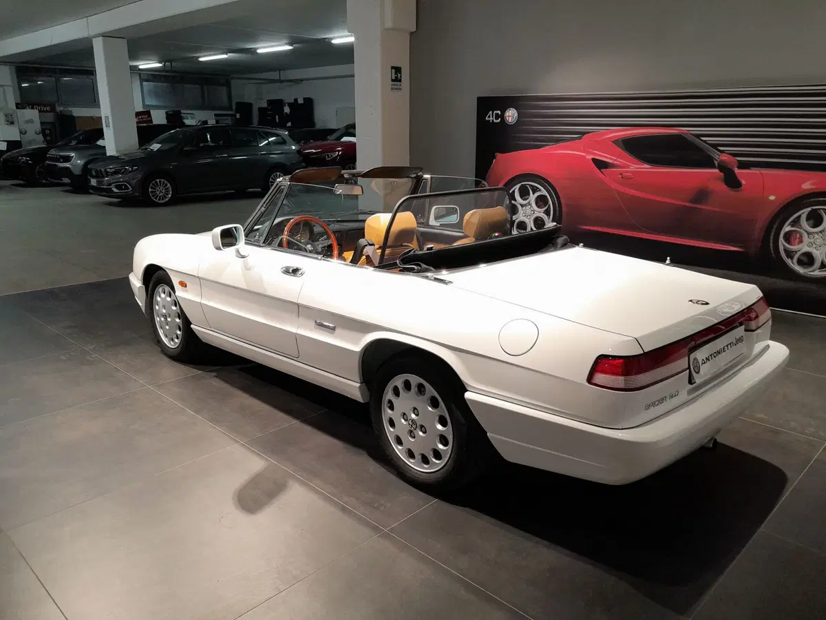 Alfa Romeo Spider usata a Ancona (10)
