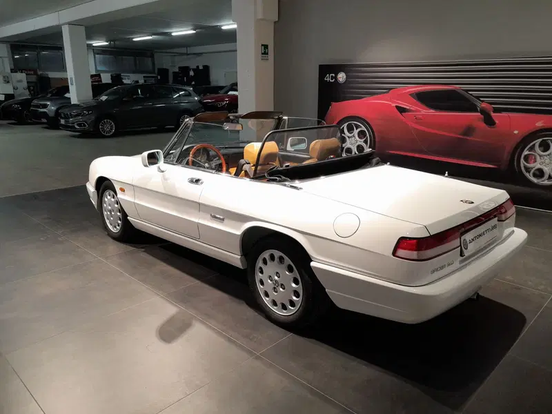 Alfa Romeo Spider usata a Ancona (10)