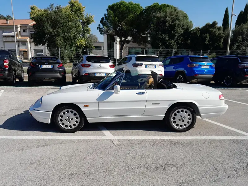 Alfa Romeo Spider usata a Ancona (14)