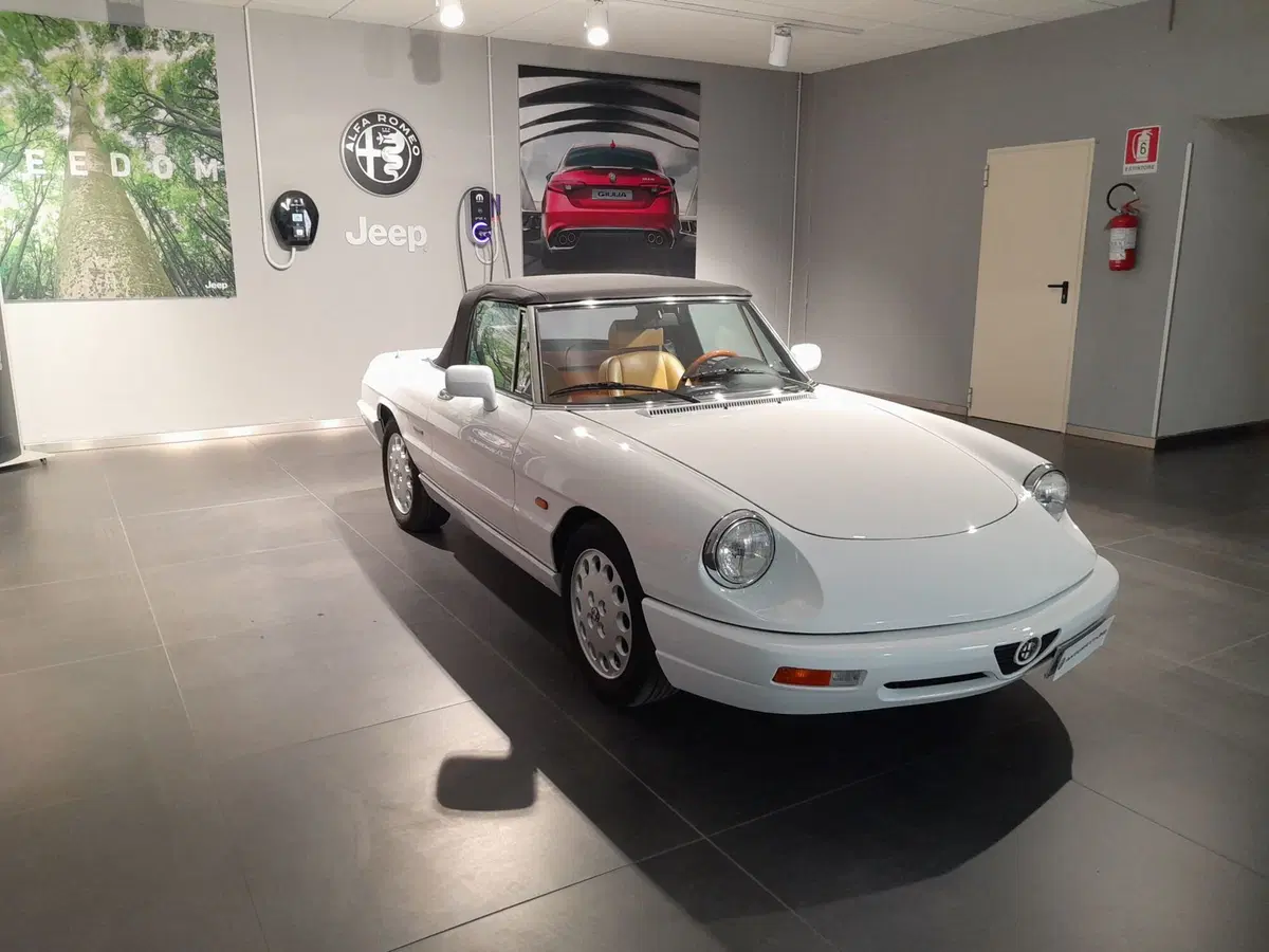 Alfa Romeo Spider usata a Ancona (4)