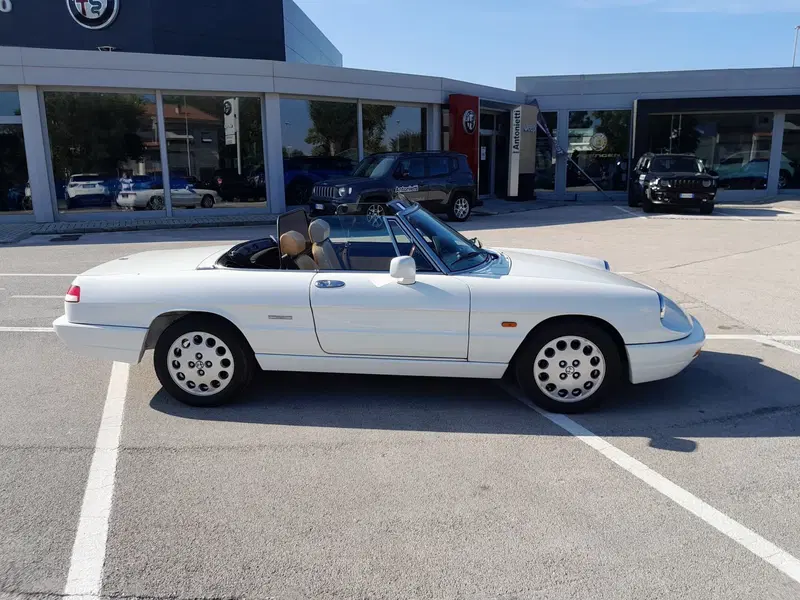Alfa Romeo Spider usata a Ancona (6)