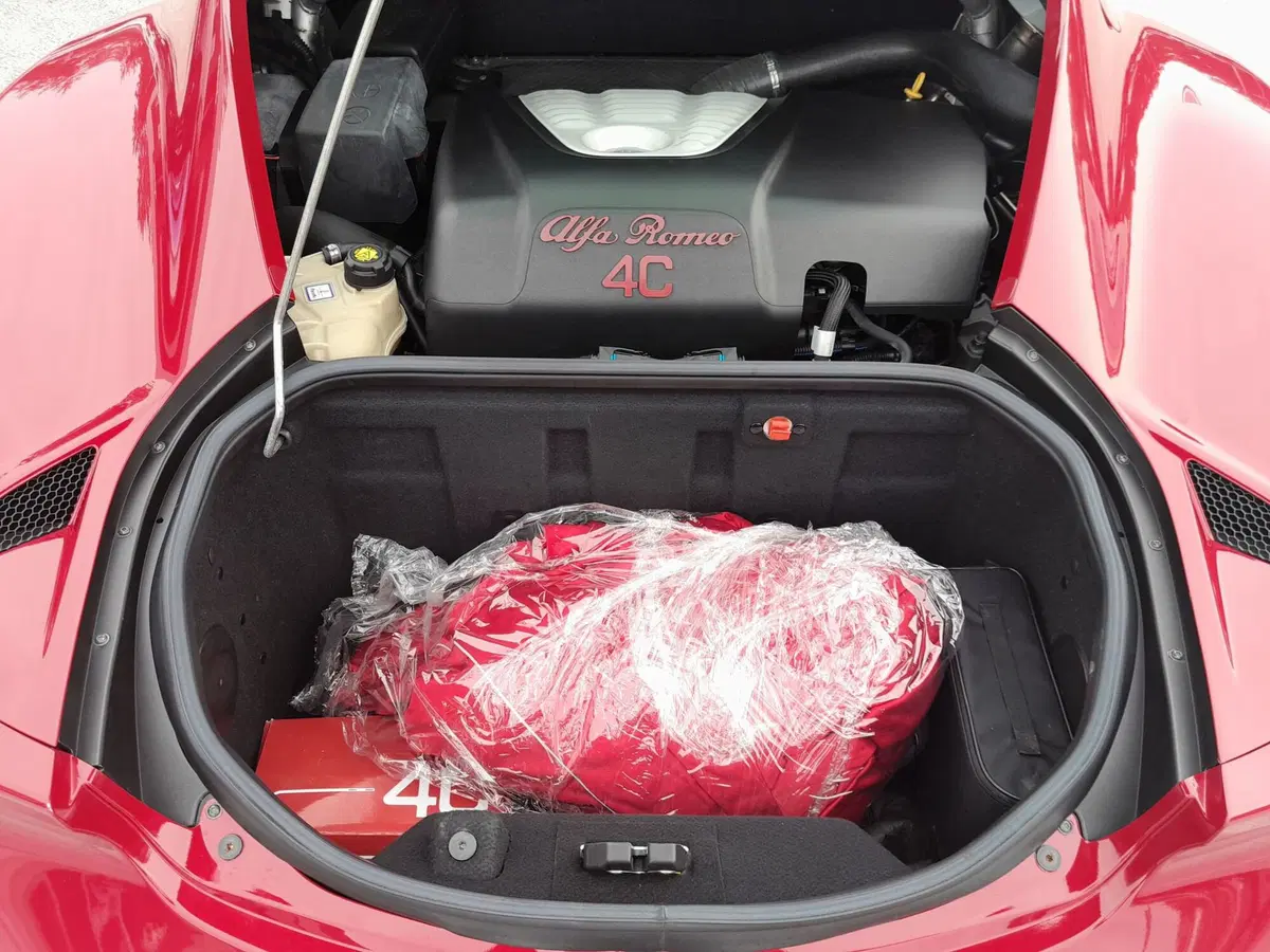 Alfa Romeo 4C Coupé usata a Ancona (14)