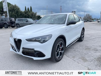 Alfa Romeo Stelvio Stelvio 2.2 Turbodiesel 210 CV AT8 Q4 Veloce  del 2023 usata a Jesi