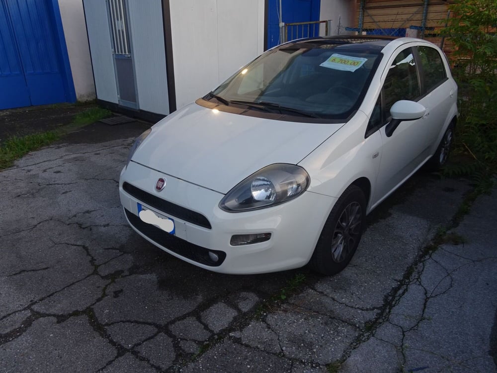 Fiat Punto usata a Lucca