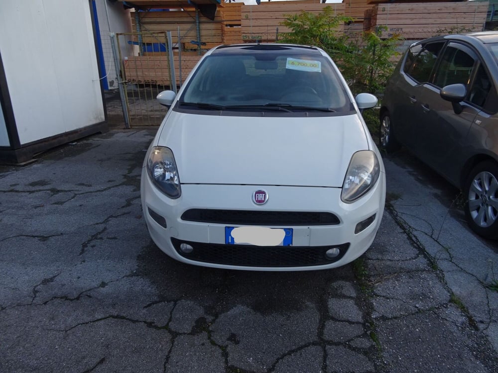 Fiat Punto usata a Lucca (3)