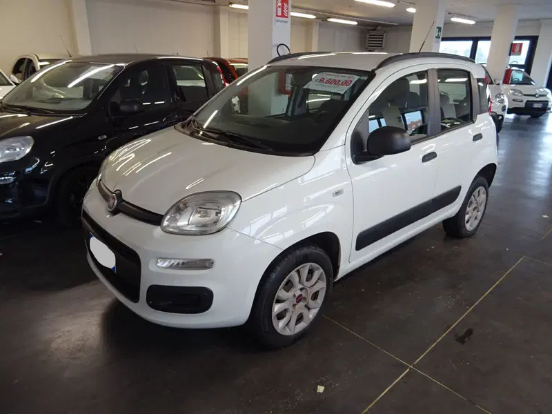 Fiat Panda usata a Lucca