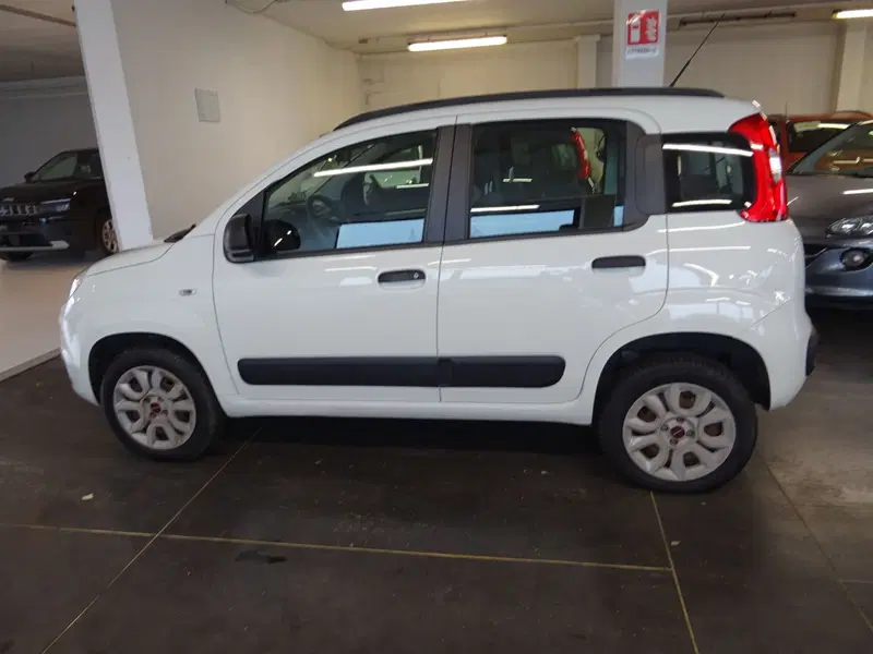 Fiat Panda usata a Lucca (2)