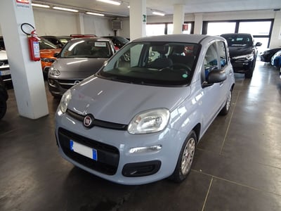 Fiat Panda 1.2 EasyPower Easy  del 2018 usata a Lucca