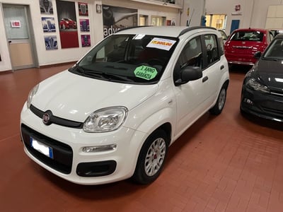 Fiat Panda 1.2 Easy  del 2014 usata a Altopascio